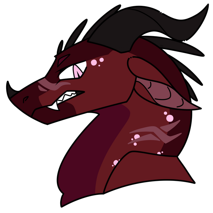 Lined Headshot - $10 AUD
