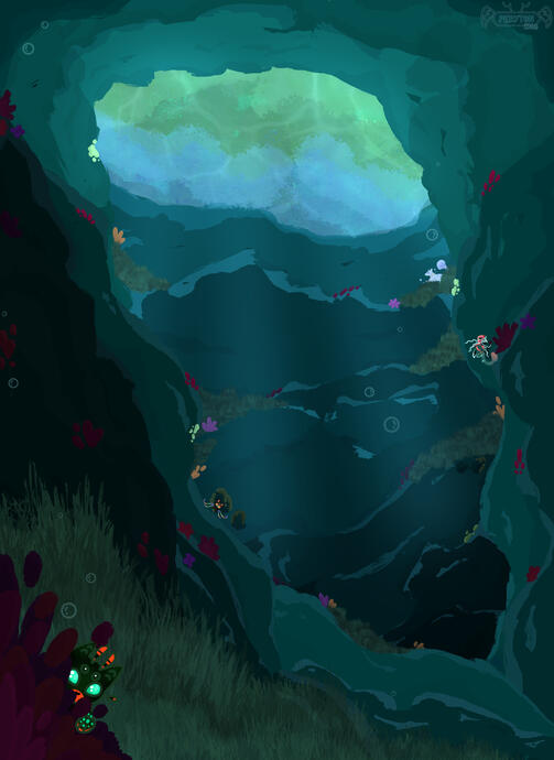 Scene - $30 - $50 AUD